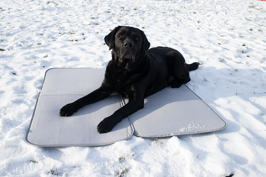 Available in a range of sizes&nbsp;Thermohundematte für Wohnmobil und Wohnwagen | HINDERMANN