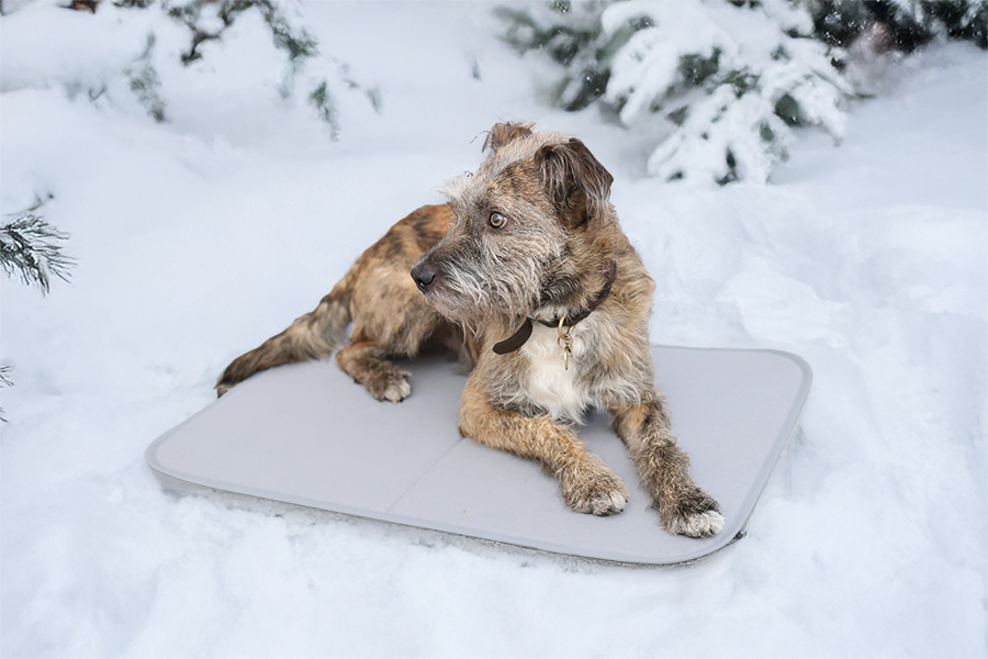 Tapis thermo-isolant pour chiens&nbsp;Thermohundematte für Wohnmobil und Wohnwagen | HINDERMANN