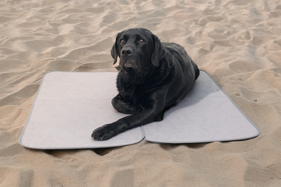 Highlights&nbsp;Thermohundematte für Wohnmobil und Wohnwagen | HINDERMANN